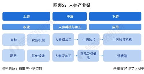 預見2024 2024年中國人參行業全景圖譜 附市場現狀 競爭格局和發展趨勢等