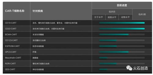 car t 系列終篇 研發格局及國內標的選擇